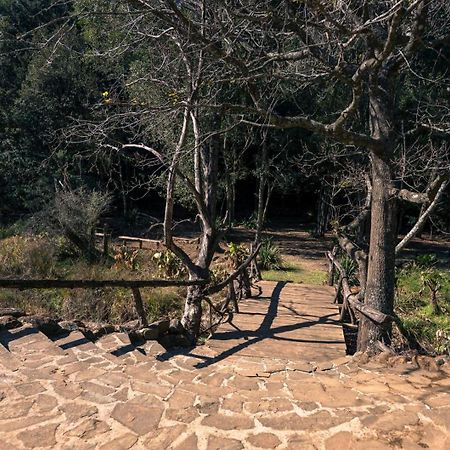 Anew Resort Ingeli Forest Kokstad Kokstad  Luaran gambar