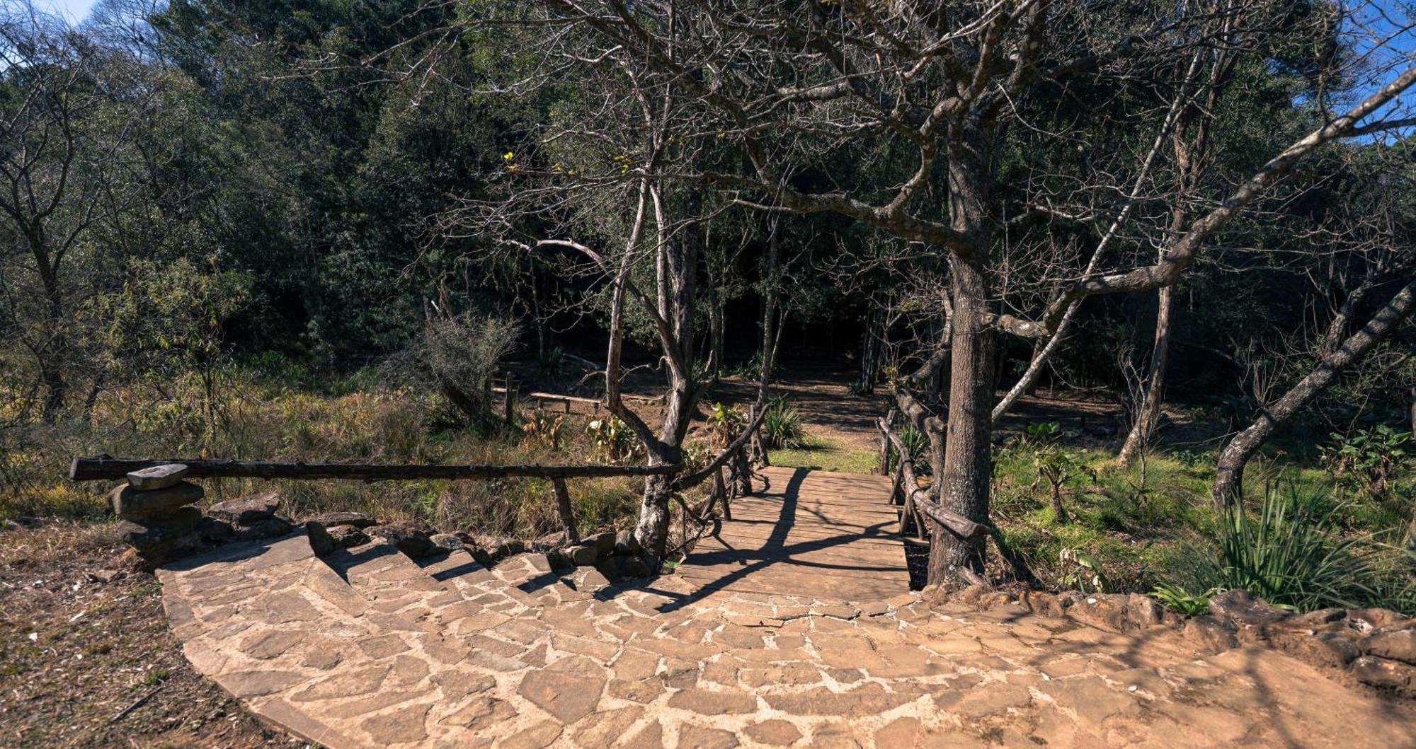 Anew Resort Ingeli Forest Kokstad Kokstad  Luaran gambar