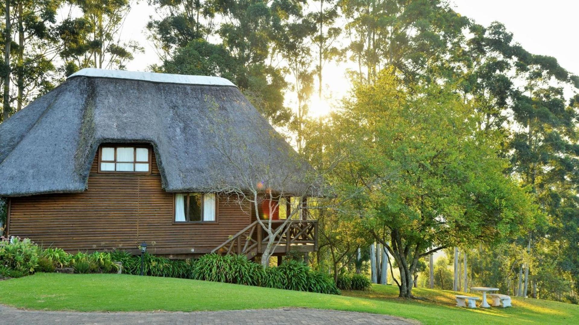 Anew Resort Ingeli Forest Kokstad Kokstad  Luaran gambar